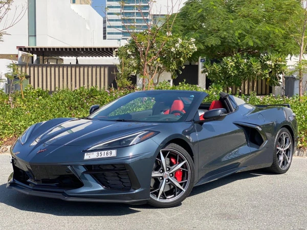  Grau Chevrolet Corvette Spyder Photo 2